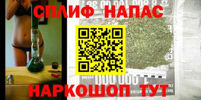 прущие крисы Будённовск