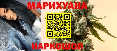 прущие крисы Будённовск