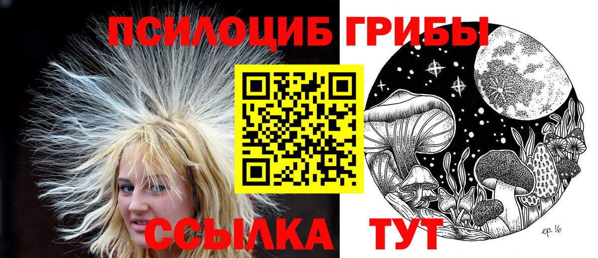 Псилоцибиновые грибы Psilocybine cubensis  Псилоцибиновые грибы прущие грибы  Вход с VPN  Светлоград 